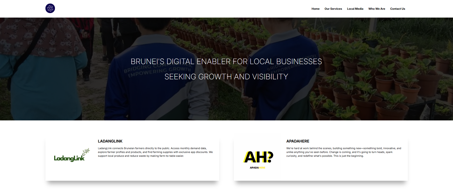 Screenshot of SeriHub Company website